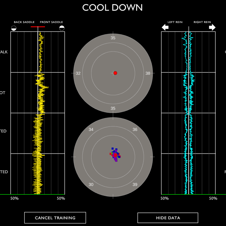Ein Kind auf einem weißen Pferd, die Arme ausgebreitet, wird von einer Person begleitet.